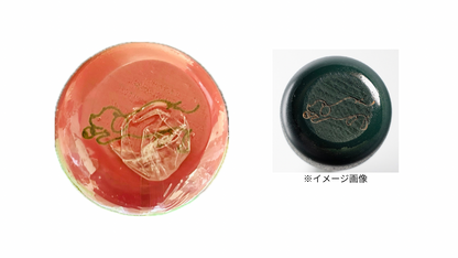 KBスポーツ限定デザイン 
Ulunoa base ノックバット